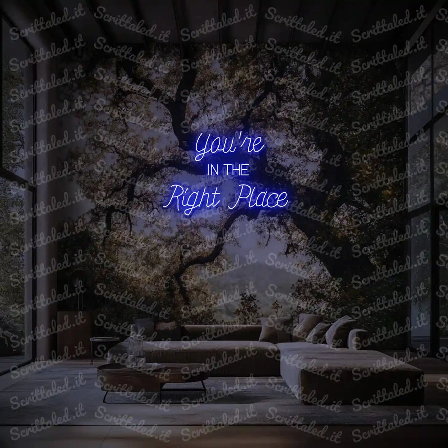 You're IN THE Right Place