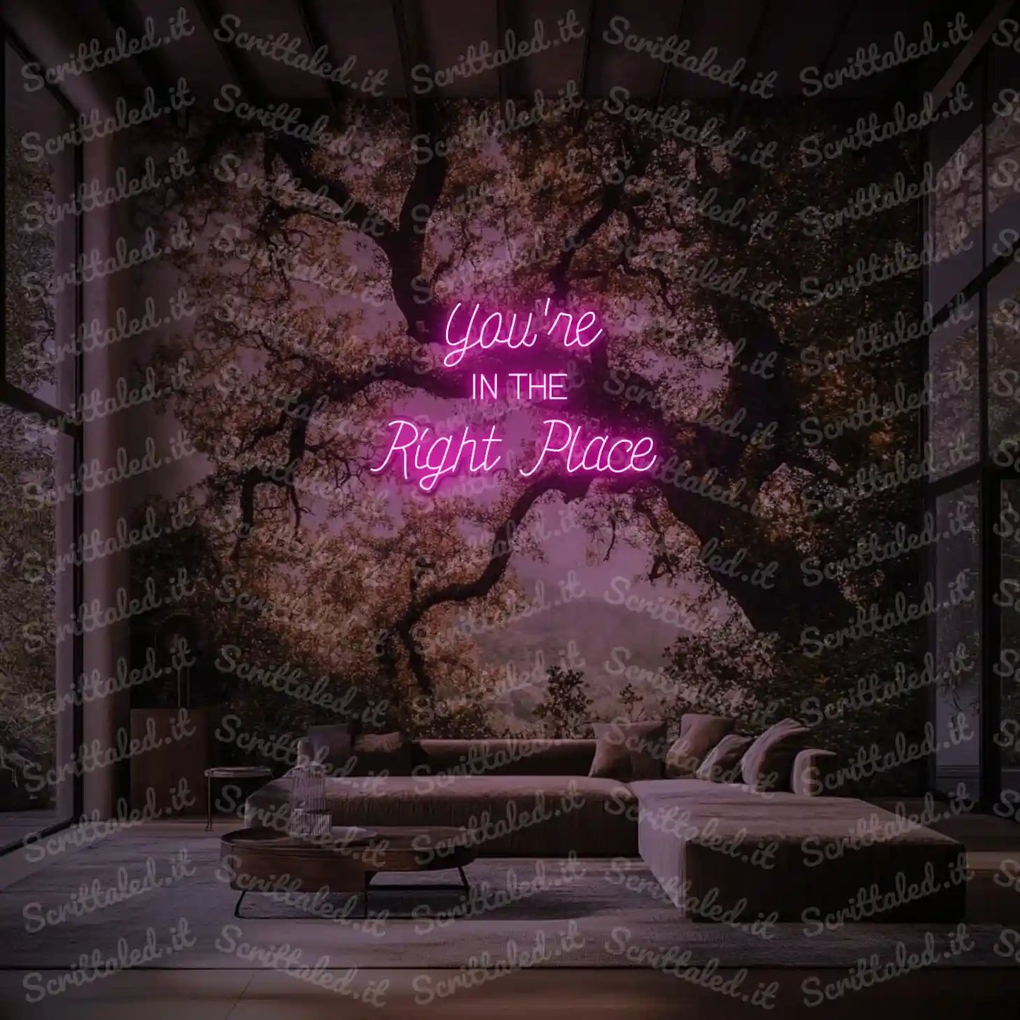 You're IN THE Right Place