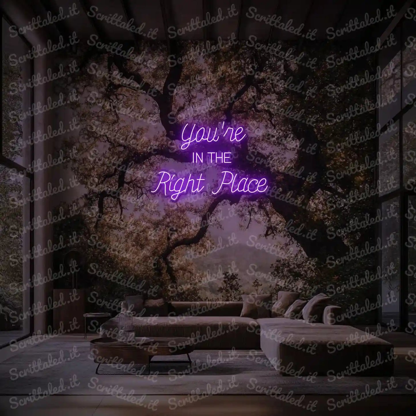 You're IN THE Right Place