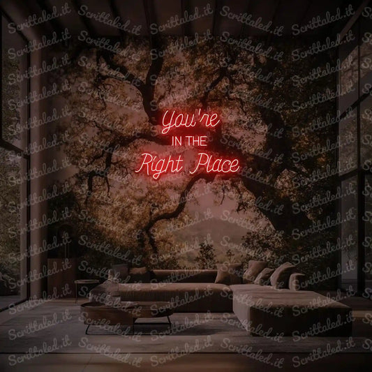You're IN THE Right Place